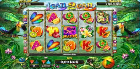 1 can 2 can slot