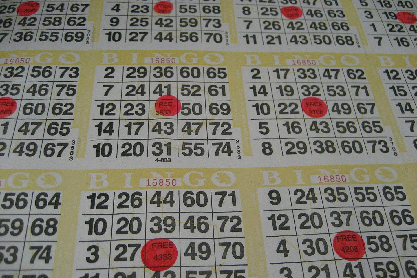 A sheet of bingo cards.
