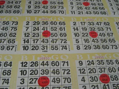 Bingo