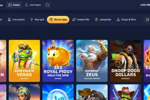 Den store oversikten